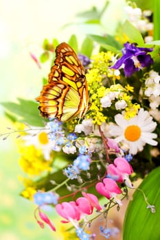 Spring flowers