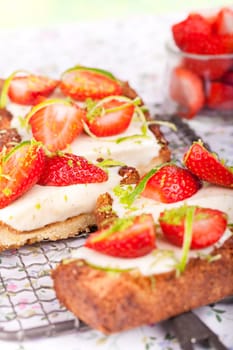 Panna Cotta Tart with Strawberries