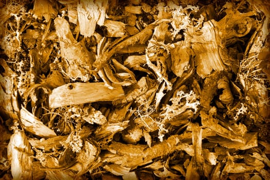 Brown background from shavings and tree pieces