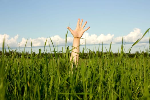 Hand sticking out of a green grass