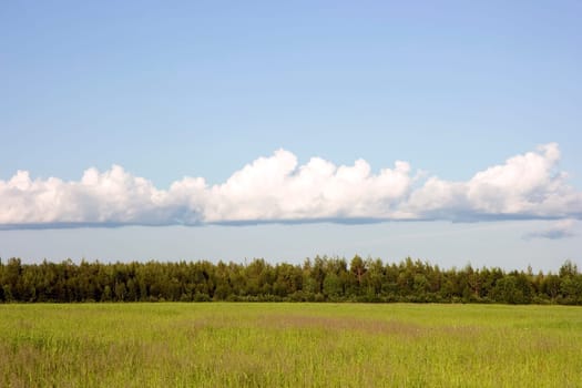 Green field photo under the dark blue sky