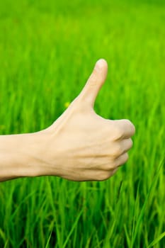 Man's hand clenched in a fist with the thumb lifted upwards