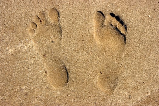 Photo of prints naked a foot on a sandy beach