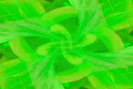 The image of a green florid pattern