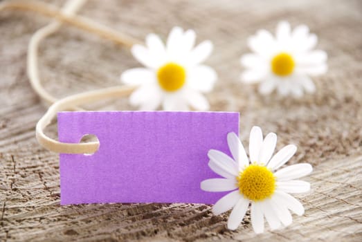 a purple label with white blossoms, copy space and background