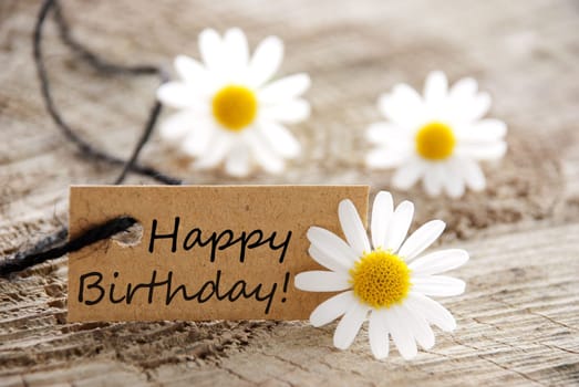 a natural looking banner with happy birthday and white blossoms as background