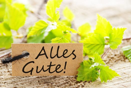 a natural looking label with the german words Alles Gute, which means all the best, and with green leaves and wood as background
