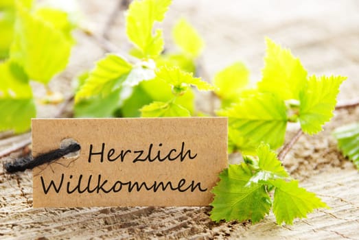 a natural looking label with the german words Herzlich Willkommen which means warm welcome and green leaves and wood as background