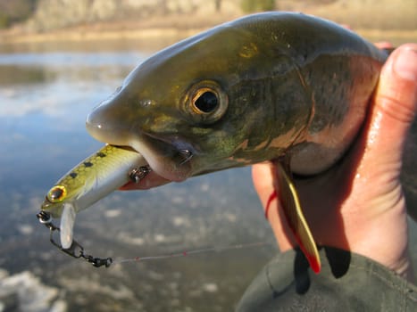 Fishing