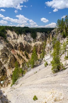 canyon on the Yellowstone River in Yellowstone National Park in Wyoming
