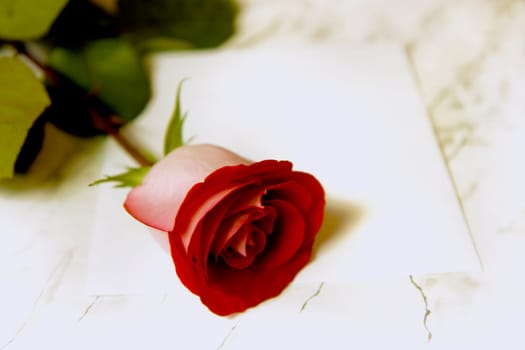 red rose on a marble table and a white envelope