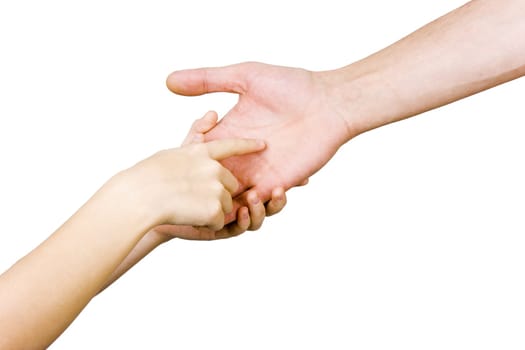 child's hand holding a man's hand on a white background
