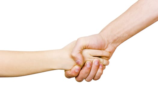 friendly handshake man and child on a white background