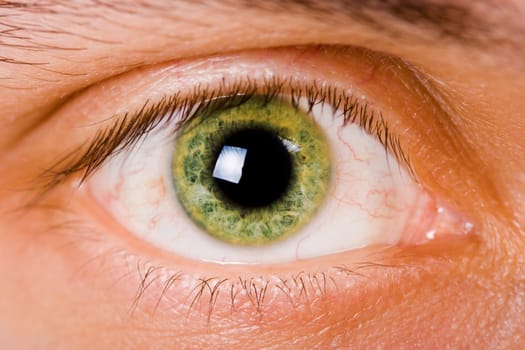 open green eye men. Close-up with bright light