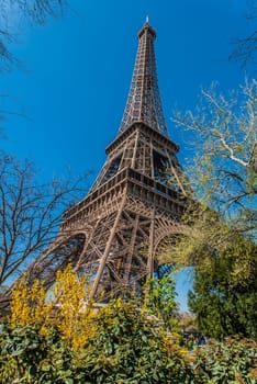 the eiffel tower in the city of Paris in france