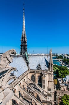 notre dame de paris and the seine river France in the city of Paris in france