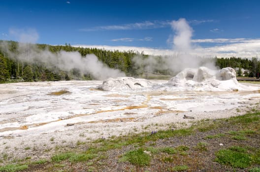 geyser in Yellowstone National Park in Wyoming