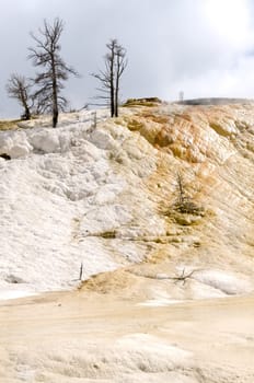 overview of Mammoth Hot Springs in Yellowstone, overview