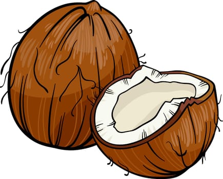 Cartoon Illustration of Coconut or Cocoanut Food Object