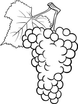 Black and White Cartoon Illustration of Bunch of Grapes or Grapevine Fruit Food Object for Coloring Book