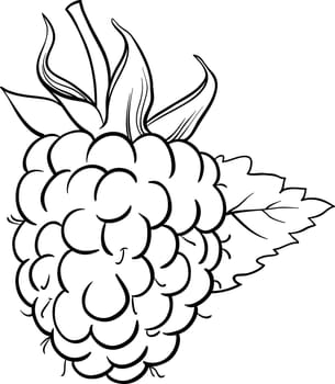 Black and White Cartoon Illustration of Raspberry Berry Fruit Food Object for Coloring Book