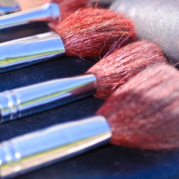 Professional make-up brushes closeup
