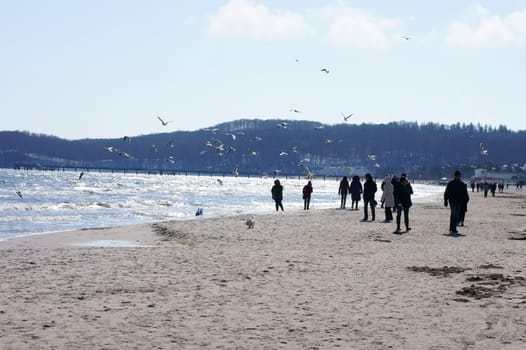 Binz, Mecklenburg  Vorpommern / Deutschland – April 02: Urlauber gehen den Strand des Ostseebades Binz am 02. April 2013 entlang und füttern Möwen.