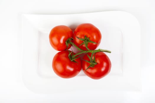 Four whole vine tomatoes on a white porcelain plate