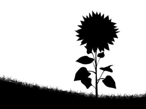 Silhouette of a sunflower on the field of grass