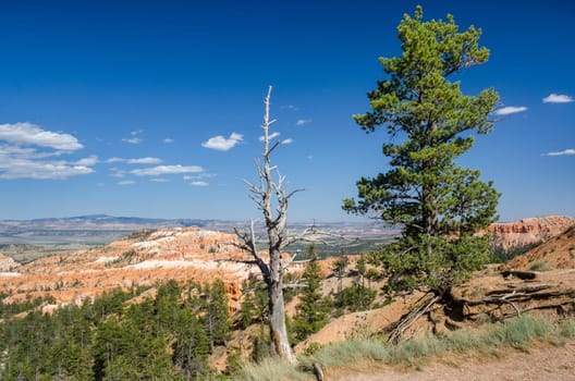 Bryce Canyon National Park in Utah