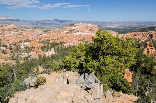 Bryce Canyon National Park in Utah