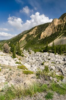 mountains in Yellowstone National Park in Wyoming