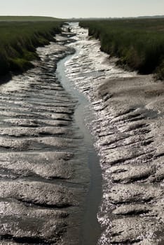 Channel in the mudflats