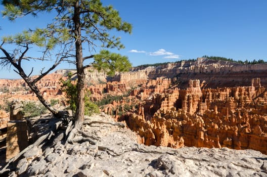 Bryce Canyon National Park in Utah