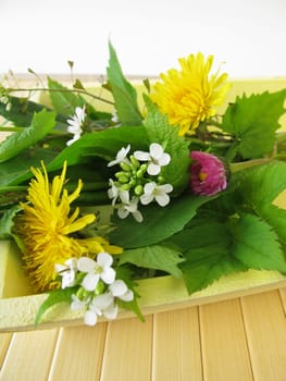 Wild herbs on a tray