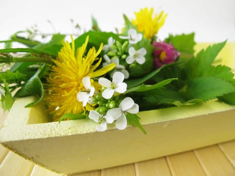 Wild herbs on a tray