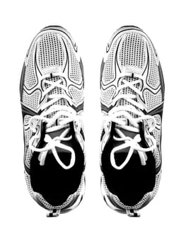Sports runners situated in a shoe box