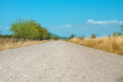 Off-road track in country