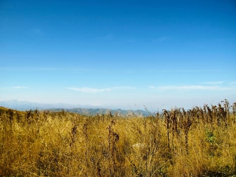 Caucasus landscape and autumn nature in daylight