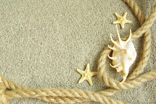 starfish and shells in rope on sand