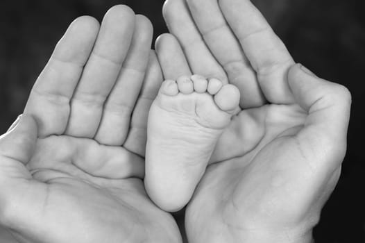 Baby foot