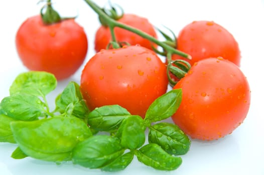 Tomatoes with basil
