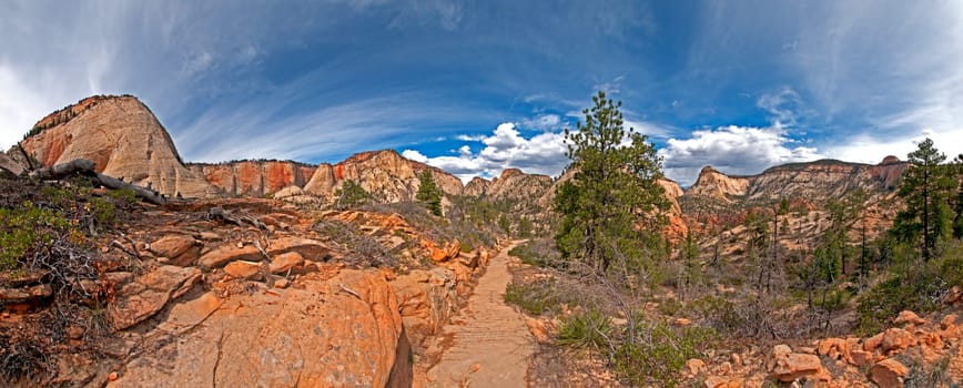 West Rim Hike in Zion National Park