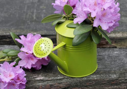 Flowers Garden Leisure Watering Can