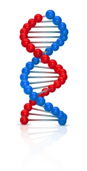 Dna illustration with reflection isolated on white background