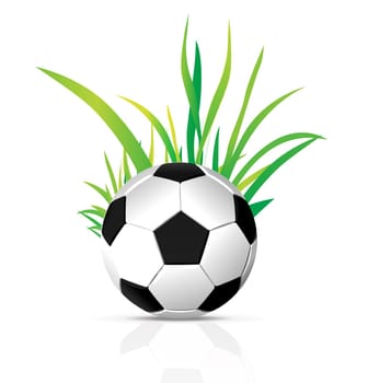 soccer ball with grass element isolated on white background