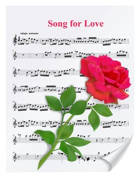 Beautiful red rose on notesheet on white