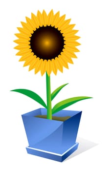 Beautiful sunflower spot concept ilustration on white