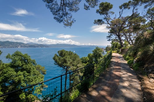 pedestrian street on the sea in Portofino