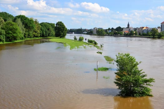 flooded landscape during the flood in Magdeburg